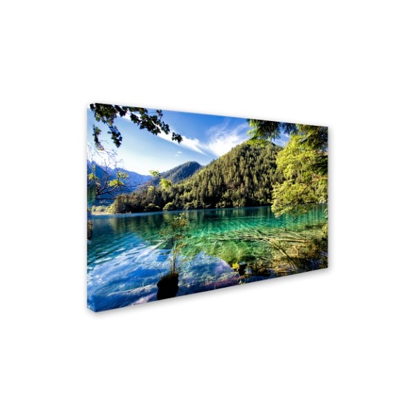 Philippe Hugonnard 'Tiger Lake' Canvas Art,16x24